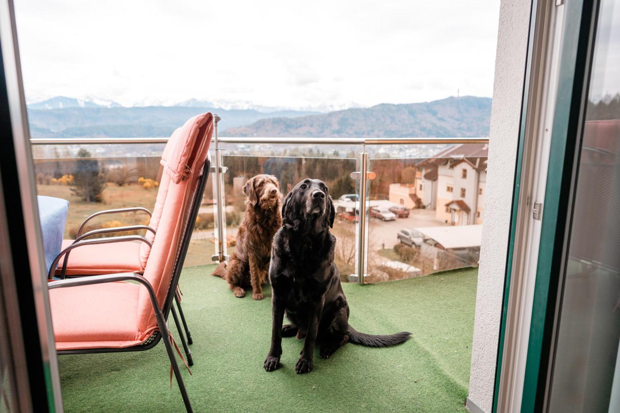 Urlaub Fuer Mensch Und Tier - Appartements Pirkhof Portschach am Woerthersee Luaran gambar
